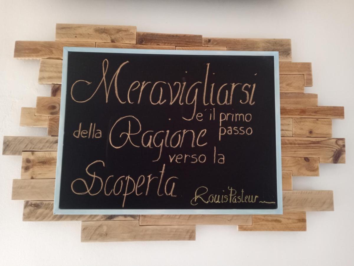 Albergo Medusa Punta Marina Buitenkant foto